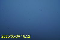 Img20250530_185232.jpg