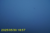 Img20250530_185732.jpg