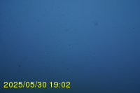 Img20250530_190232.jpg