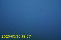 Img20250530_190732.jpg
