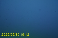 Img20250530_191232.jpg