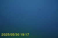 Img20250530_191732.jpg