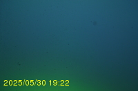 Img20250530_192232.jpg