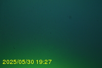 Img20250530_192732.jpg