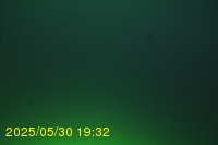 Img20250530_193232.jpg