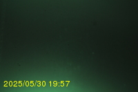 Img20250530_195732.jpg