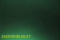 Img20250530_203732.jpg