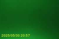 Img20250530_205732.jpg