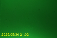 Img20250530_210232.jpg