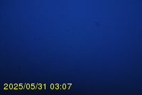 Img20250531_030733.jpg