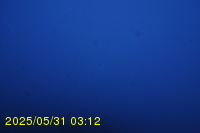 Img20250531_031233.jpg