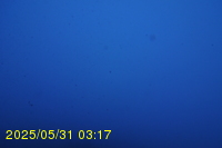 Img20250531_031733.jpg