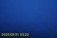 Img20250531_032233.jpg