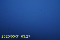 Img20250531_032733.jpg