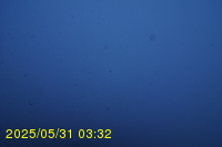 Img20250531_033233.jpg