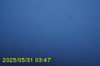 Img20250531_034733.jpg
