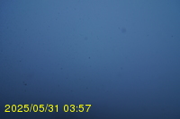 Img20250531_035733.jpg