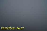 Img20250531_040733.jpg