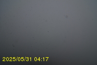 Img20250531_041733.jpg