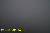 Img20250531_043733.jpg