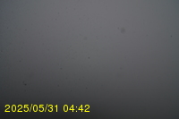 Img20250531_044234.jpg