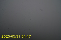 Img20250531_044734.jpg