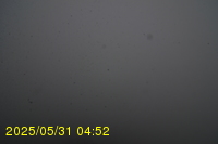 Img20250531_045234.jpg