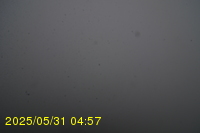 Img20250531_045734.jpg