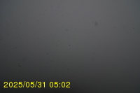 Img20250531_050234.jpg