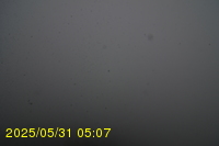 Img20250531_050734.jpg