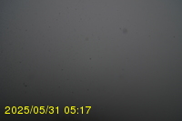 Img20250531_051734.jpg