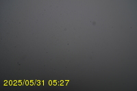Img20250531_052734.jpg