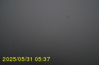 Img20250531_053734.jpg