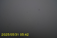 Img20250531_054234.jpg