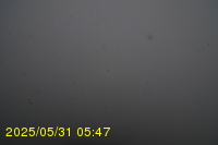 Img20250531_054734.jpg