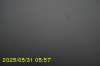 Img20250531_055734.jpg