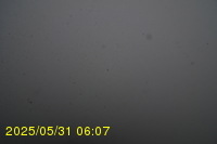 Img20250531_060734.jpg