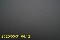 Img20250531_061234.jpg