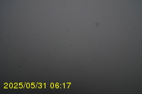 Img20250531_061734.jpg