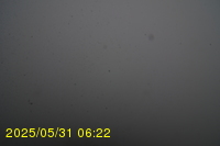 Img20250531_062234.jpg