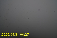 Img20250531_062734.jpg