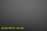 Img20250531_063234.jpg