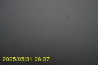 Img20250531_063734.jpg