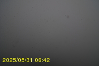 Img20250531_064234.jpg