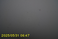 Img20250531_064734.jpg