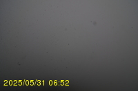 Img20250531_065234.jpg