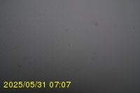 Img20250531_070734.jpg