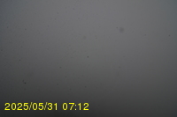 Img20250531_071234.jpg
