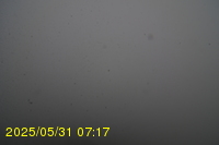 Img20250531_071734.jpg