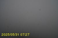 Img20250531_072734.jpg